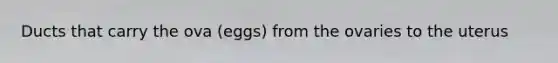 Ducts that carry the ova (eggs) from the ovaries to the uterus