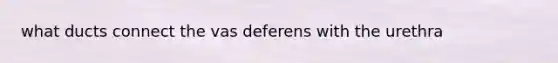 what ducts connect the vas deferens with the urethra