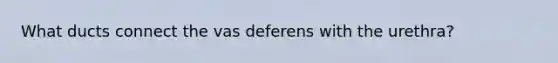 What ducts connect the vas deferens with the urethra?