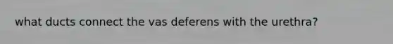 what ducts connect the vas deferens with the urethra?