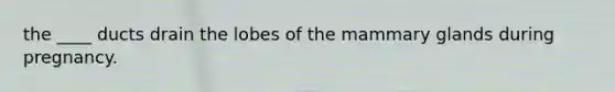 the ____ ducts drain the lobes of the mammary glands during pregnancy.