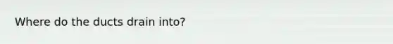 Where do the ducts drain into?