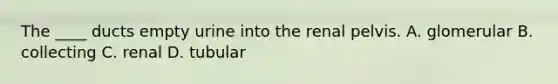 ​The ____ ducts empty urine into the renal pelvis. A. glomerular B. collecting C. renal D. tubular