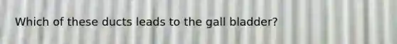 Which of these ducts leads to the gall bladder?