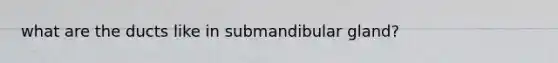 what are the ducts like in submandibular gland?