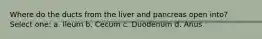 Where do the ducts from the liver and pancreas open into? Select one: a. Ileum b. Cecum c. Duodenum d. Anus