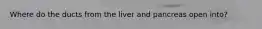 Where do the ducts from the liver and pancreas open into?