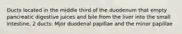 Ducts located in the middle third of the duodenum that empty pancreatic digestive juices and bile from the liver into the small intestine. 2 ducts: Mjor duodenal papillae and the minor papillae