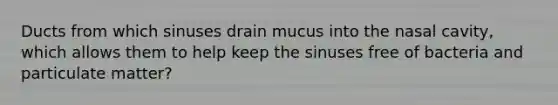 Ducts from which sinuses drain mucus into the nasal cavity, which allows them to help keep the sinuses free of bacteria and particulate matter?