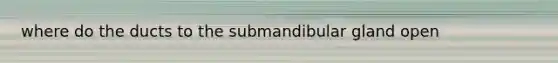 where do the ducts to the submandibular gland open