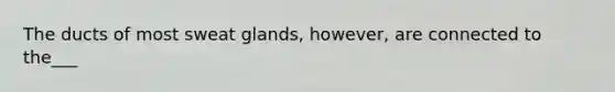 The ducts of most sweat glands, however, are connected to the___