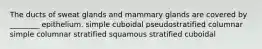 The ducts of sweat glands and mammary glands are covered by ________ epithelium. simple cuboidal pseudostratified columnar simple columnar stratified squamous stratified cuboidal