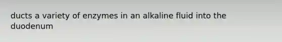 ducts a variety of enzymes in an alkaline fluid into the duodenum