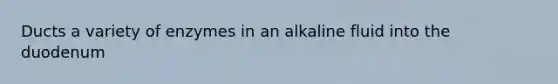 Ducts a variety of enzymes in an alkaline fluid into the duodenum