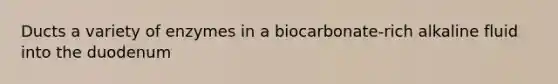 Ducts a variety of enzymes in a biocarbonate-rich alkaline fluid into the duodenum