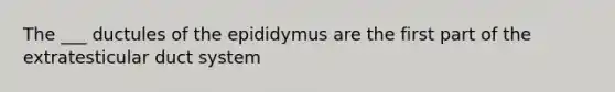 The ___ ductules of the epididymus are the first part of the extratesticular duct system