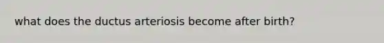 what does the ductus arteriosis become after birth?