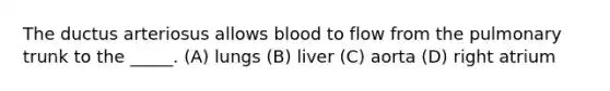 The ductus arteriosus allows blood to flow from the pulmonary trunk to the _____. (A) lungs (B) liver (C) aorta (D) right atrium