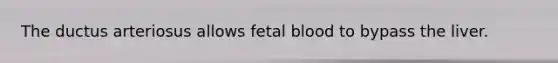 The ductus arteriosus allows fetal blood to bypass the liver.