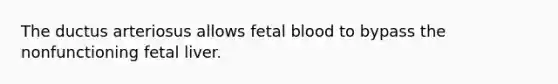 The ductus arteriosus allows fetal blood to bypass the nonfunctioning fetal liver.