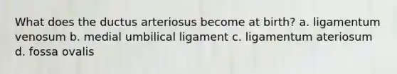 What does the ductus arteriosus become at birth? a. ligamentum venosum b. medial umbilical ligament c. ligamentum ateriosum d. fossa ovalis