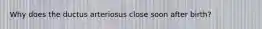 Why does the ductus arteriosus close soon after birth?