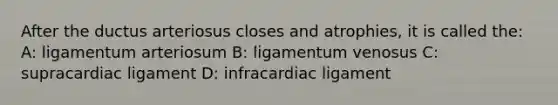 After the ductus arteriosus closes and atrophies, it is called the: A: ligamentum arteriosum B: ligamentum venosus C: supracardiac ligament D: infracardiac ligament