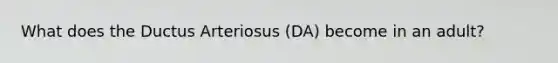 What does the Ductus Arteriosus (DA) become in an adult?