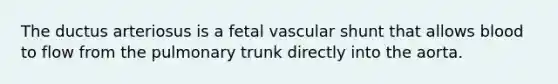 The ductus arteriosus is a fetal vascular shunt that allows blood to flow from the pulmonary trunk directly into the aorta.