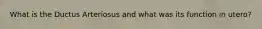 What is the Ductus Arteriosus and what was its function in utero?