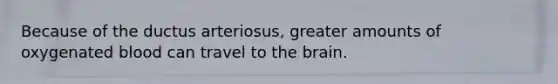 Because of the ductus arteriosus, greater amounts of oxygenated blood can travel to the brain.