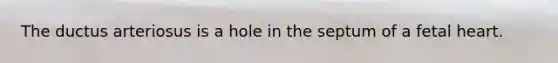 The ductus arteriosus is a hole in the septum of a fetal heart.