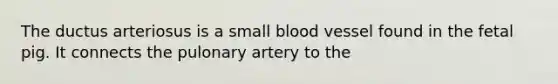 The ductus arteriosus is a small blood vessel found in the fetal pig. It connects the pulonary artery to the