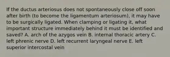 If the ductus arteriosus does not spontaneously close off soon after birth (to become the ligamentum arteriosum), it may have to be surgically ligated. When clamping or ligating it, what important structure immediately behind it must be identified and saved? A. arch of the azygos vein B. internal thoracic artery C. left phrenic nerve D. left recurrent laryngeal nerve E. left superior intercostal vein