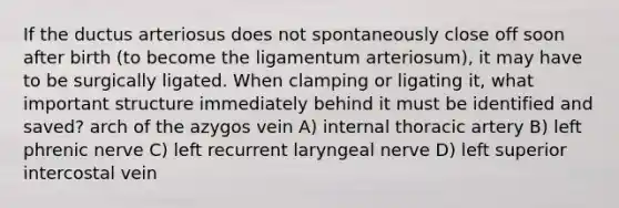 If the ductus arteriosus does not spontaneously close off soon after birth (to become the ligamentum arteriosum), it may have to be surgically ligated. When clamping or ligating it, what important structure immediately behind it must be identified and saved? arch of the azygos vein A) internal thoracic artery B) left phrenic nerve C) left recurrent laryngeal nerve D) left superior intercostal vein