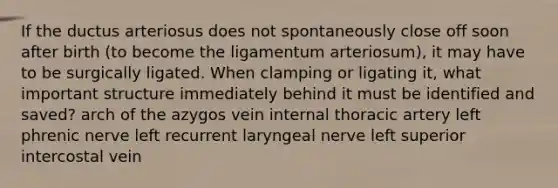 If the ductus arteriosus does not spontaneously close off soon after birth (to become the ligamentum arteriosum), it may have to be surgically ligated. When clamping or ligating it, what important structure immediately behind it must be identified and saved? arch of the azygos vein internal thoracic artery left phrenic nerve left recurrent laryngeal nerve left superior intercostal vein