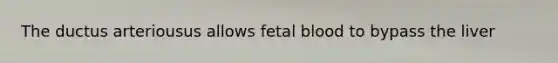 The ductus arteriousus allows fetal blood to bypass the liver