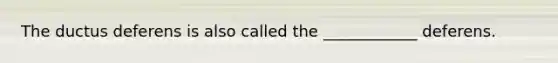 The ductus deferens is also called the ____________ deferens.