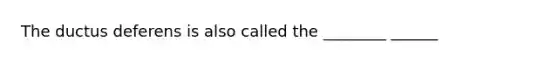 The ductus deferens is also called the ________ ______