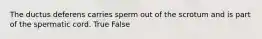 The ductus deferens carries sperm out of the scrotum and is part of the spermatic cord. True False