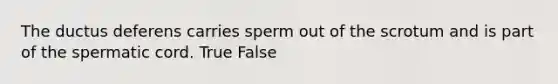 The ductus deferens carries sperm out of the scrotum and is part of the spermatic cord. True False