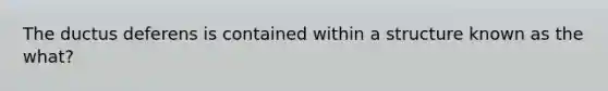 The ductus deferens is contained within a structure known as the what?