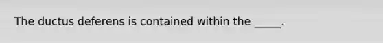 The ductus deferens is contained within the _____.