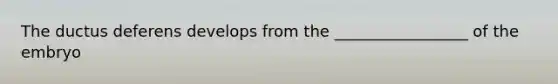 The ductus deferens develops from the _________________ of the embryo