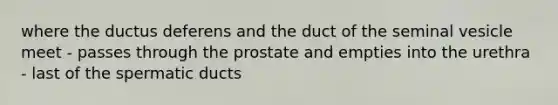 where the ductus deferens and the duct of the seminal vesicle meet - passes through the prostate and empties into the urethra - last of the spermatic ducts