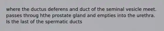 where the ductus deferens and duct of the seminal vesicle meet. passes throug hthe prostate gland and empties into the urethra. Is the last of the spermatic ducts