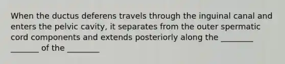 When the ductus deferens travels through the inguinal canal and enters the pelvic cavity, it separates from the outer spermatic cord components and extends posteriorly along the ________ _______ of the ________