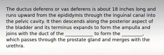 The ductus deferens or vas deferens is about 18 inches long and runs upward from the epididymis through the inguinal canal into the pelvic cavity. It then descends along the posterior aspect of the bladder and its terminus expands to form the ampulla and joins with the duct of the ____________ to form the _________, which passes through the prostate gland and merges with the urethra.