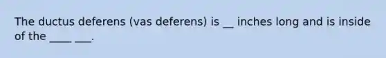 The ductus deferens (vas deferens) is __ inches long and is inside of the ____ ___.