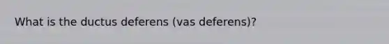What is the ductus deferens (vas deferens)?
